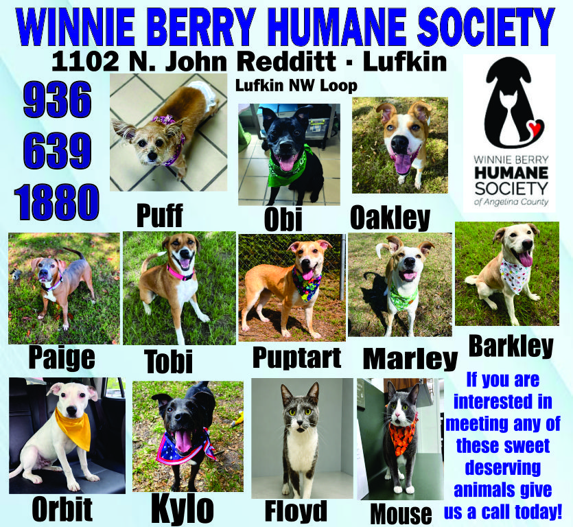 Pet of The Week Ad